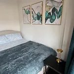 Stylish Guest *