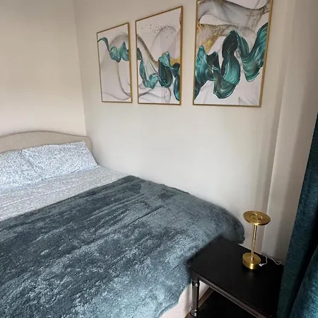 Stylish Guest *